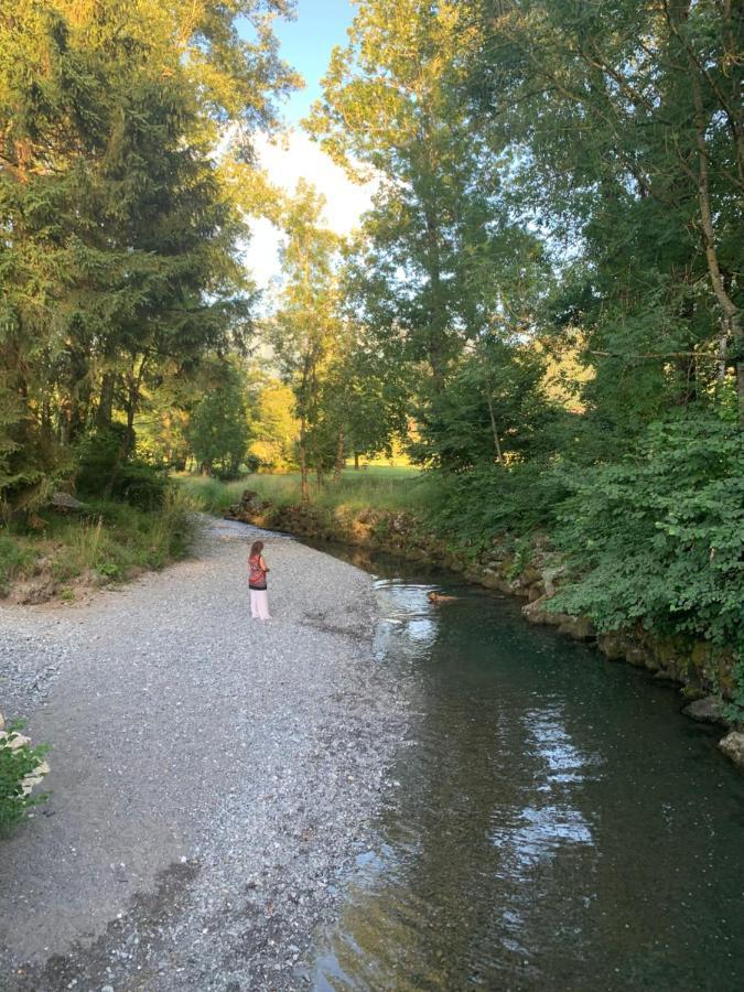 Petit Cocon Entre Lac, Golf Et Montagne, Proche D'Annecy Giez Εξωτερικό φωτογραφία